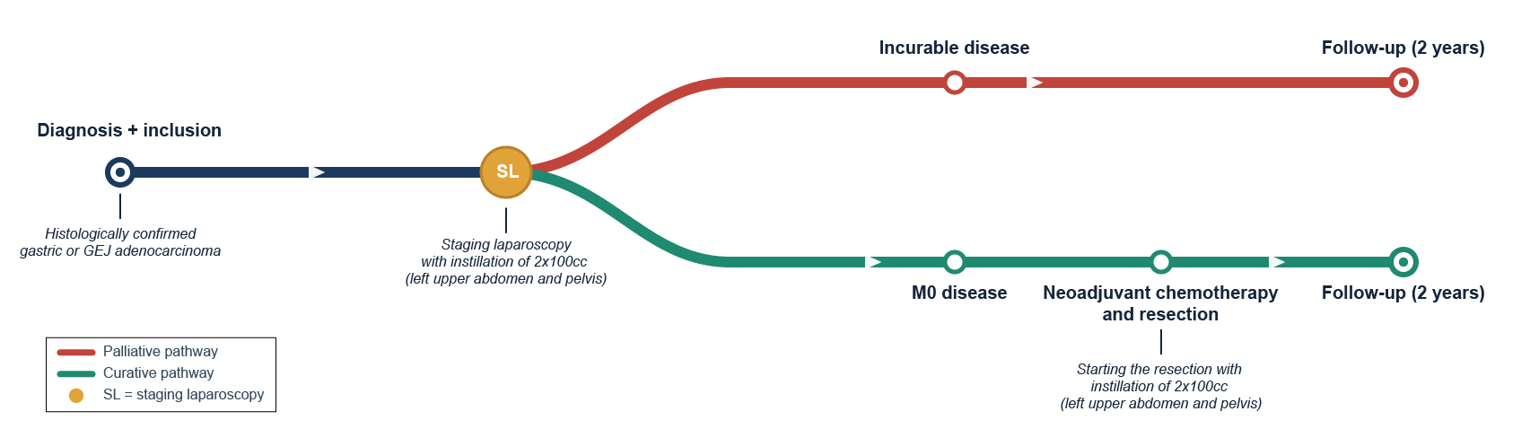 Flowchart of the patient pathway: diagnosis, DLS, M1/M0 disease, follow-up