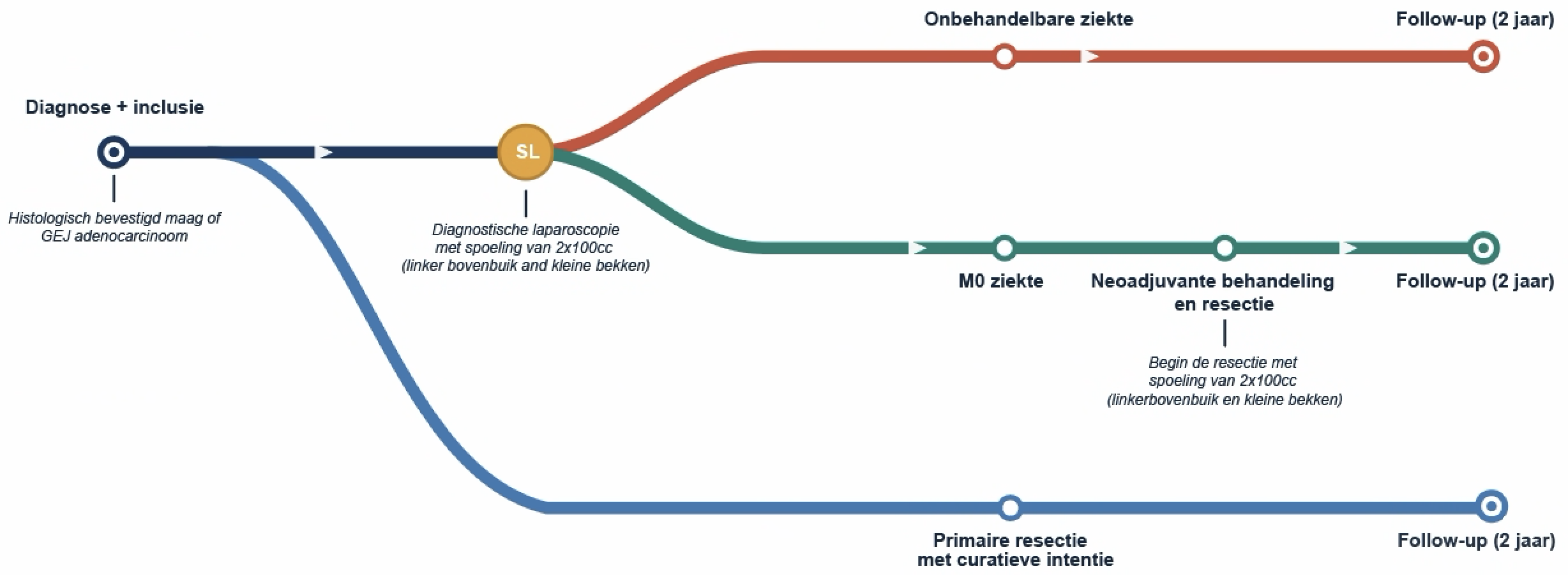 Flowchart patiëntroute: diagnose, DLS, M1/M0 ziekte, follow-up